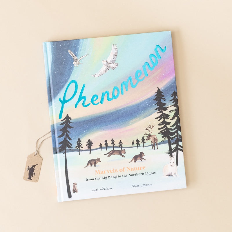 A children's book titled 'Phenomenon: The Magic of Nature' is shown standing upright on a warm beige background. The cover features an illustrated winter landscape with evergreen trees, deer, a fox, a polar bear, birds, and a colorful aurora in the sky.