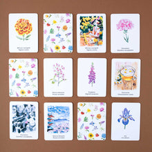Load image into Gallery viewer, detail-of-memory-playing-cards-showing-colorful-flowers-and-their-names