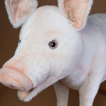 Load image into Gallery viewer, Plush Piggy Seat close up of friendly face