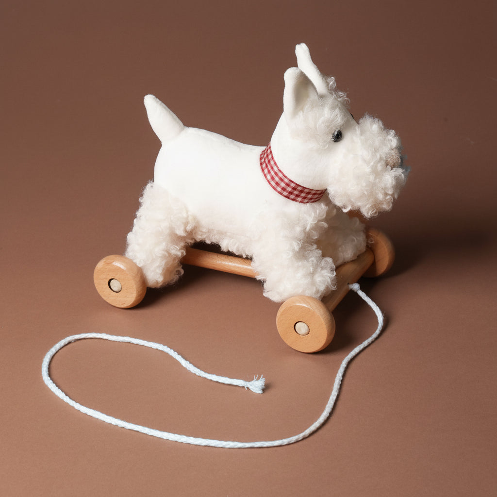 White pull-along-lola-the-dog toy with wooden wheels on a brown background