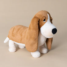 Load image into Gallery viewer, randall-basset-hound-brown-and-white-stuffed-animal-with-big-floppy-ears