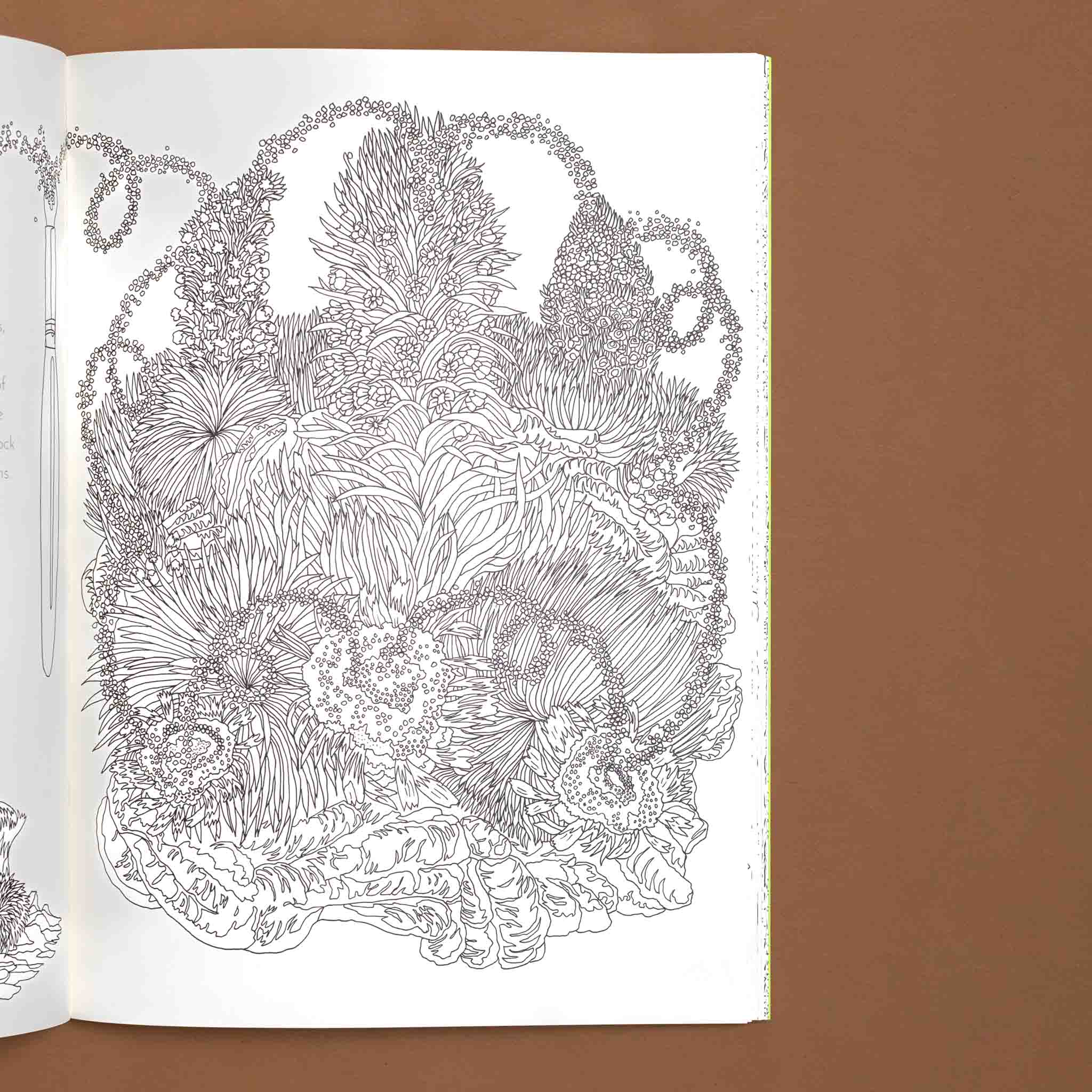 return-of-the-wild-coloring-book-interior-image-of-grasses
