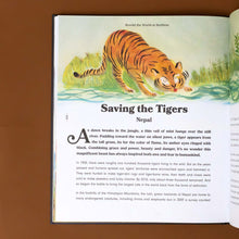 Load image into Gallery viewer, saving-the-tigers-nepal-with-illustration-of-a-tiger-at-shore-bed-drinking-and-text