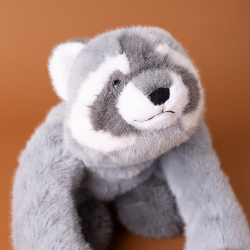 rigby-the-raccoon-kiddo stuffed -animal