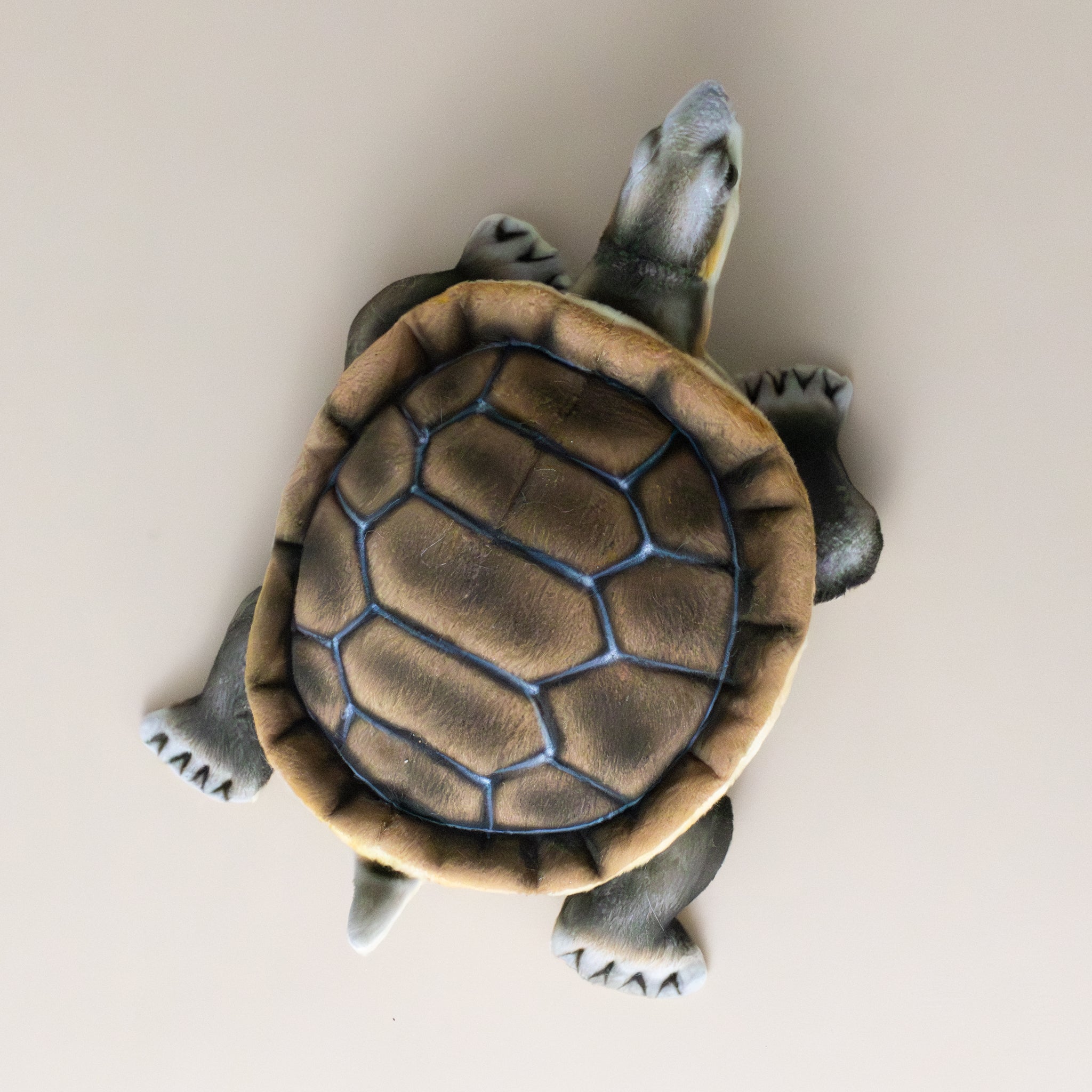 river-turtle-stuffed-animal-shell