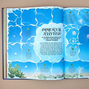 Immortal Jellyfish page from Round and Round Goes Mother Nature Book by Gabby Gabby Dawnay and Margaux Samson Abadie