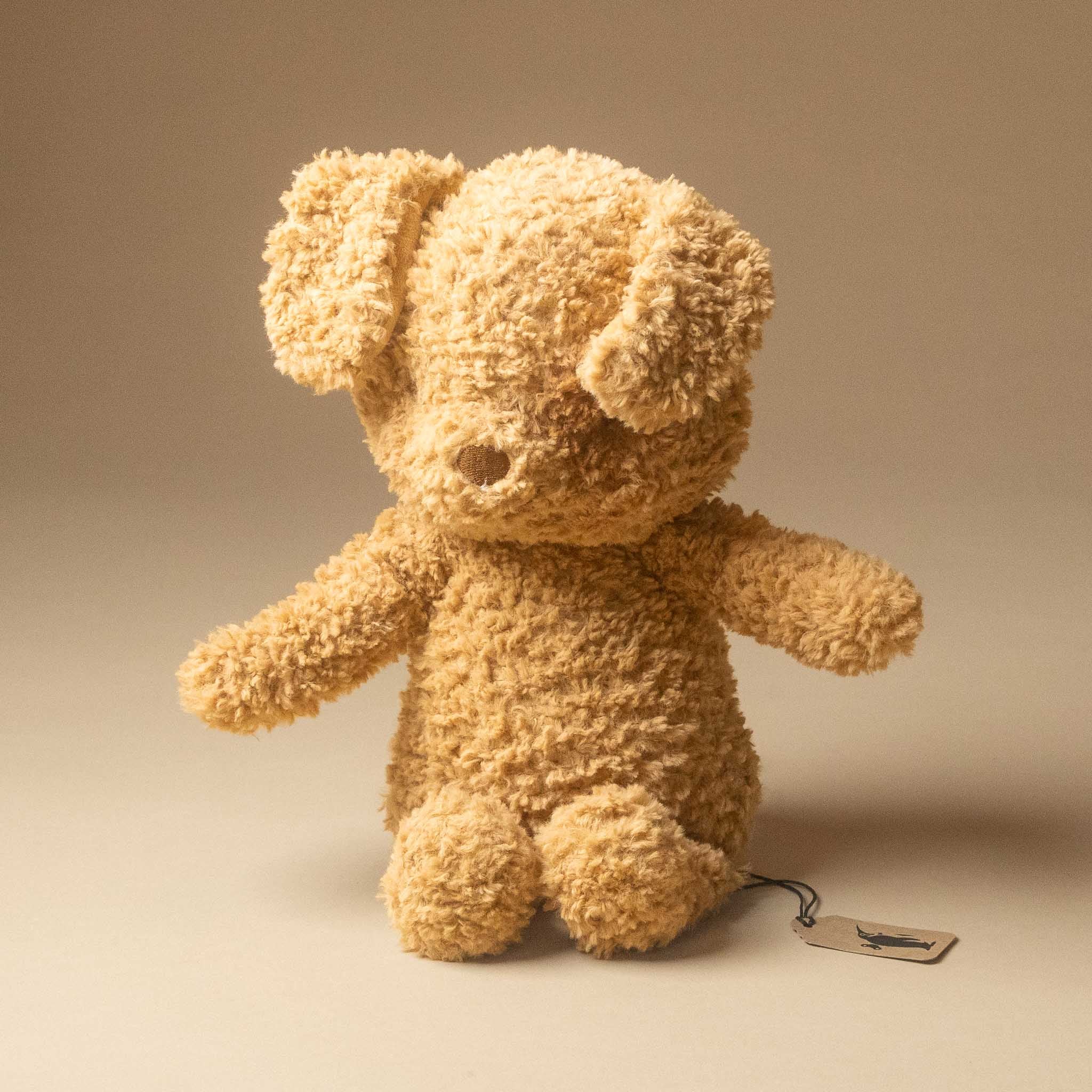 rufus-the-dog in a curly, bouclé-like tan fabric, photographed against a warm beige studio background. A small hangtag is attached near the right side of the bear.