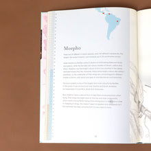 Load image into Gallery viewer, text-describing-morpho-butterfiles-with-illustration-showing-locations-in-south-america