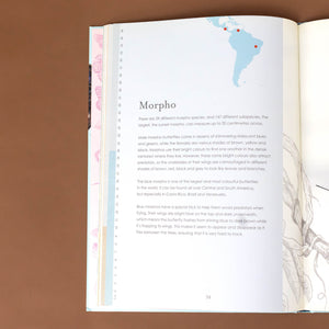 text-describing-morpho-butterfiles-with-illustration-showing-locations-in-south-america