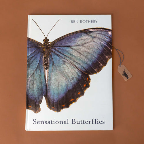 sensational-butterflies-book-with-a-blue-butterfly-on-the-cover