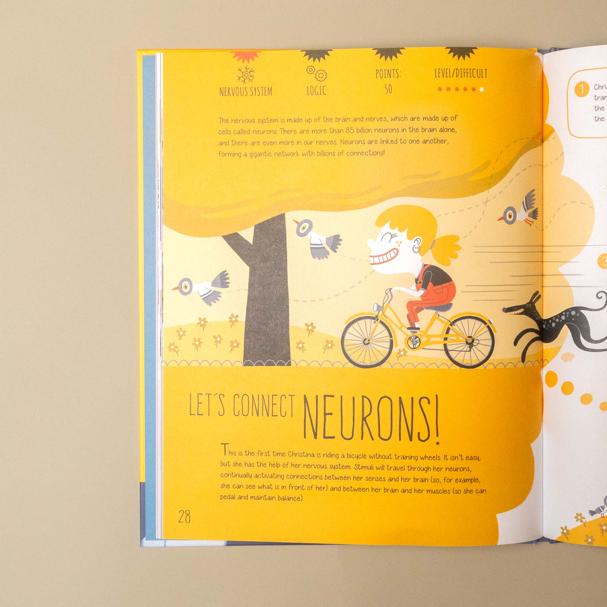 An open children's book spread showing illustrated neuroscience content, with a yellow and orange design, a cartoon child riding a bicycle, and the headline 'LET'S CONNECT NEURONS!'.