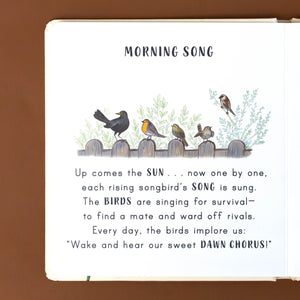 morning-song-title-with-illustration-of-birds-along-a-fence-and-text