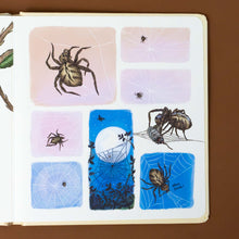 Load image into Gallery viewer, illustration-of-a-spider-making-webs