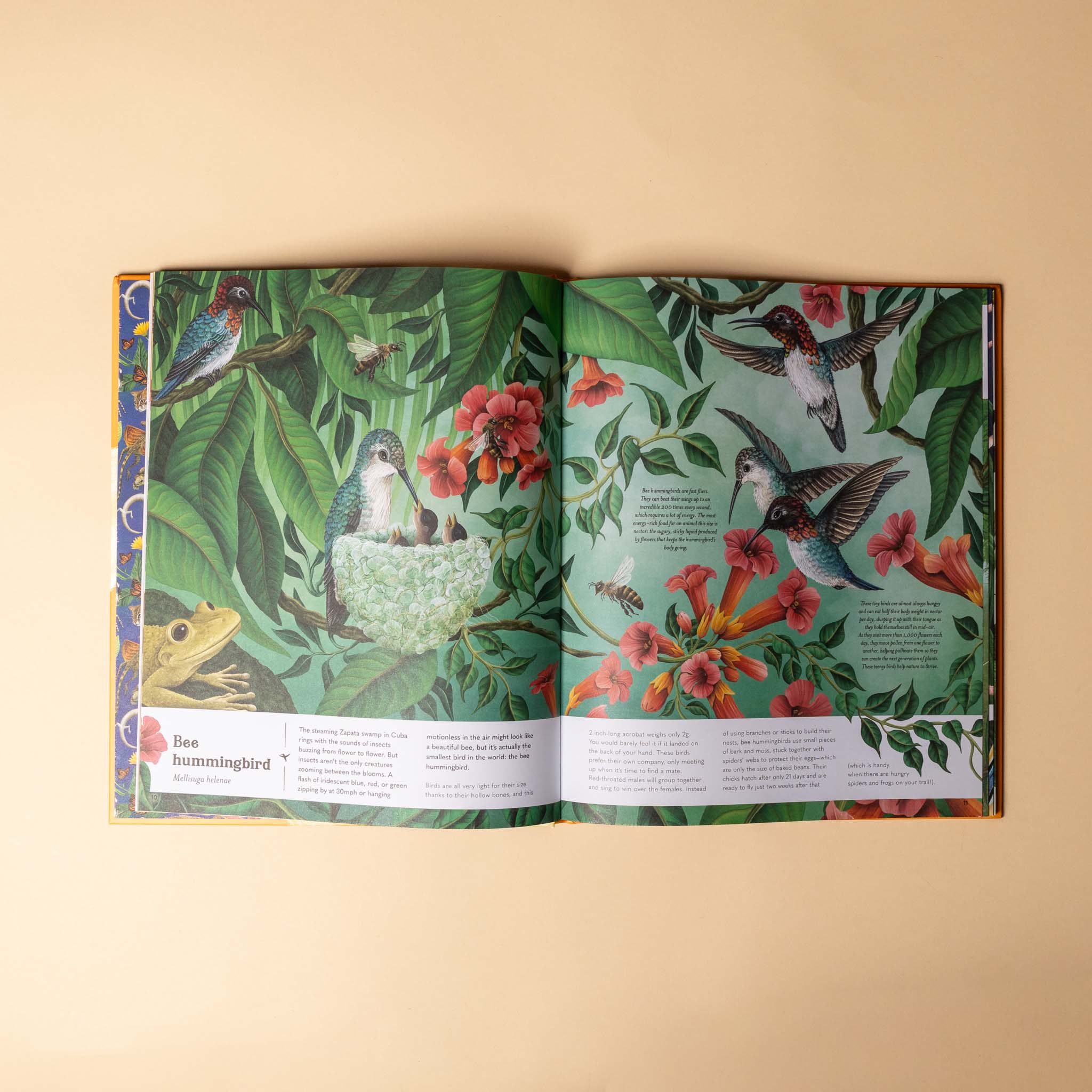 Small | World Earth's Tiniest Creatures