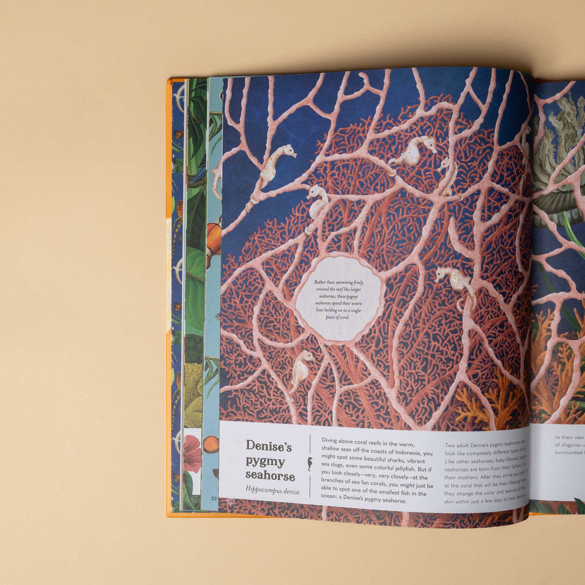 Small | World Earth's Tiniest Creatures