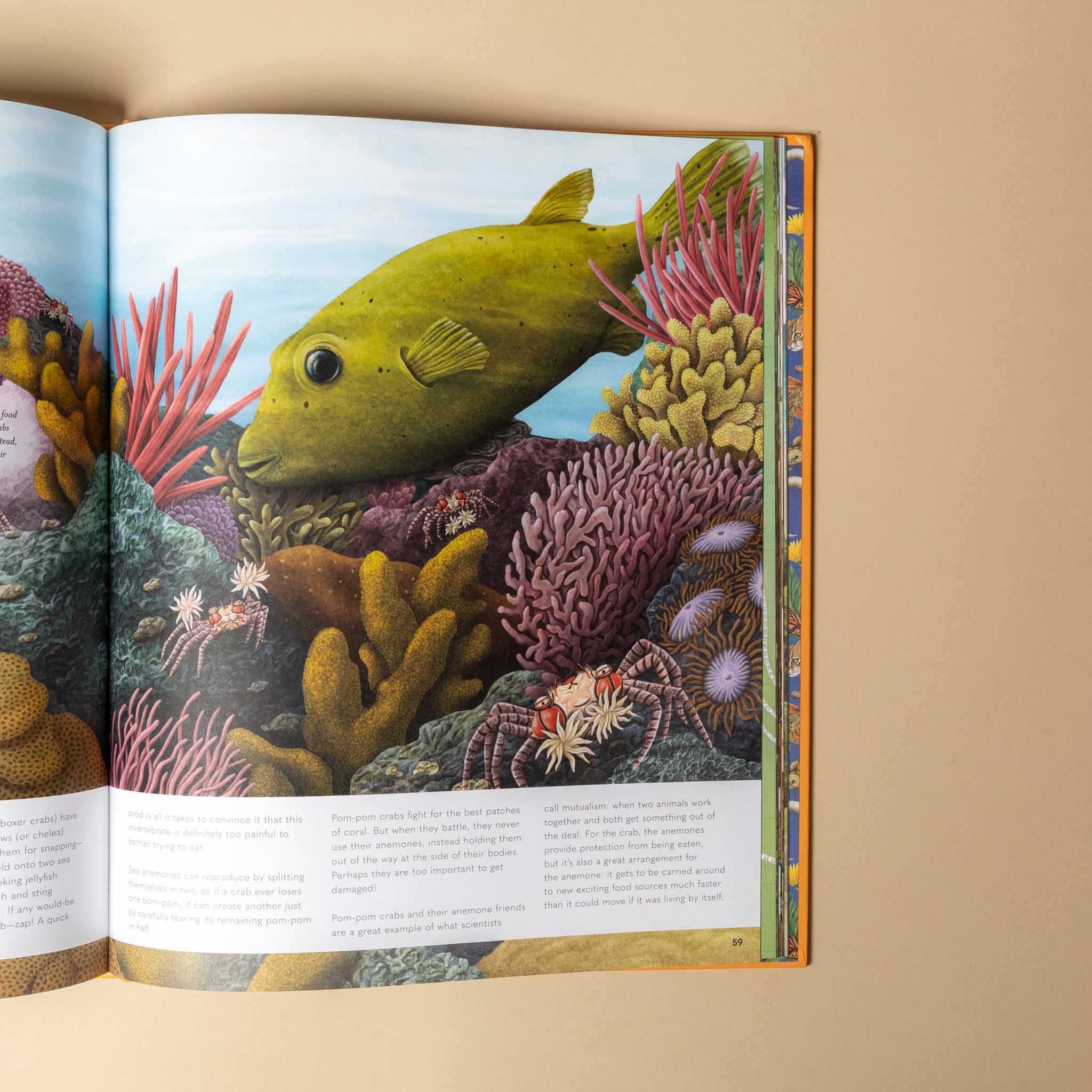 Small | World Earth's Tiniest Creatures