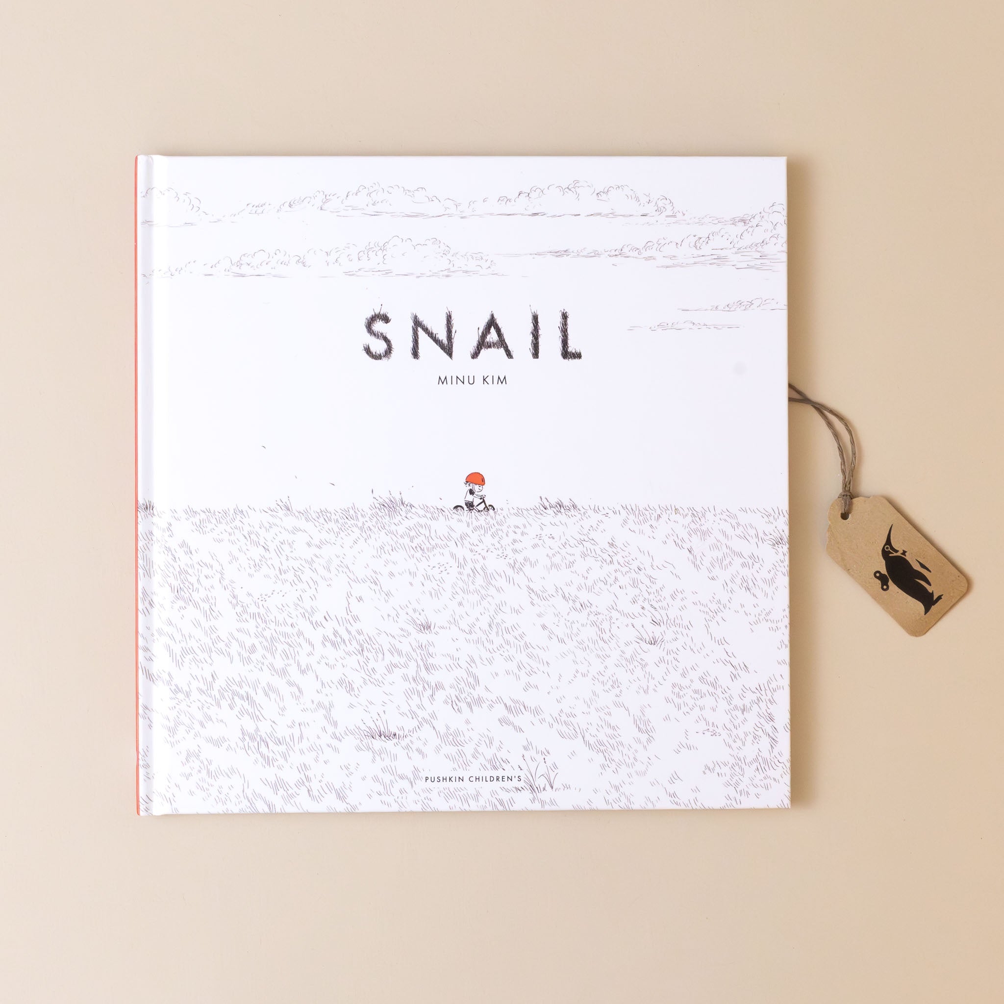 snail-book-cover-with-little-red-helmeted-boy-riding-his-bike-through-a-field