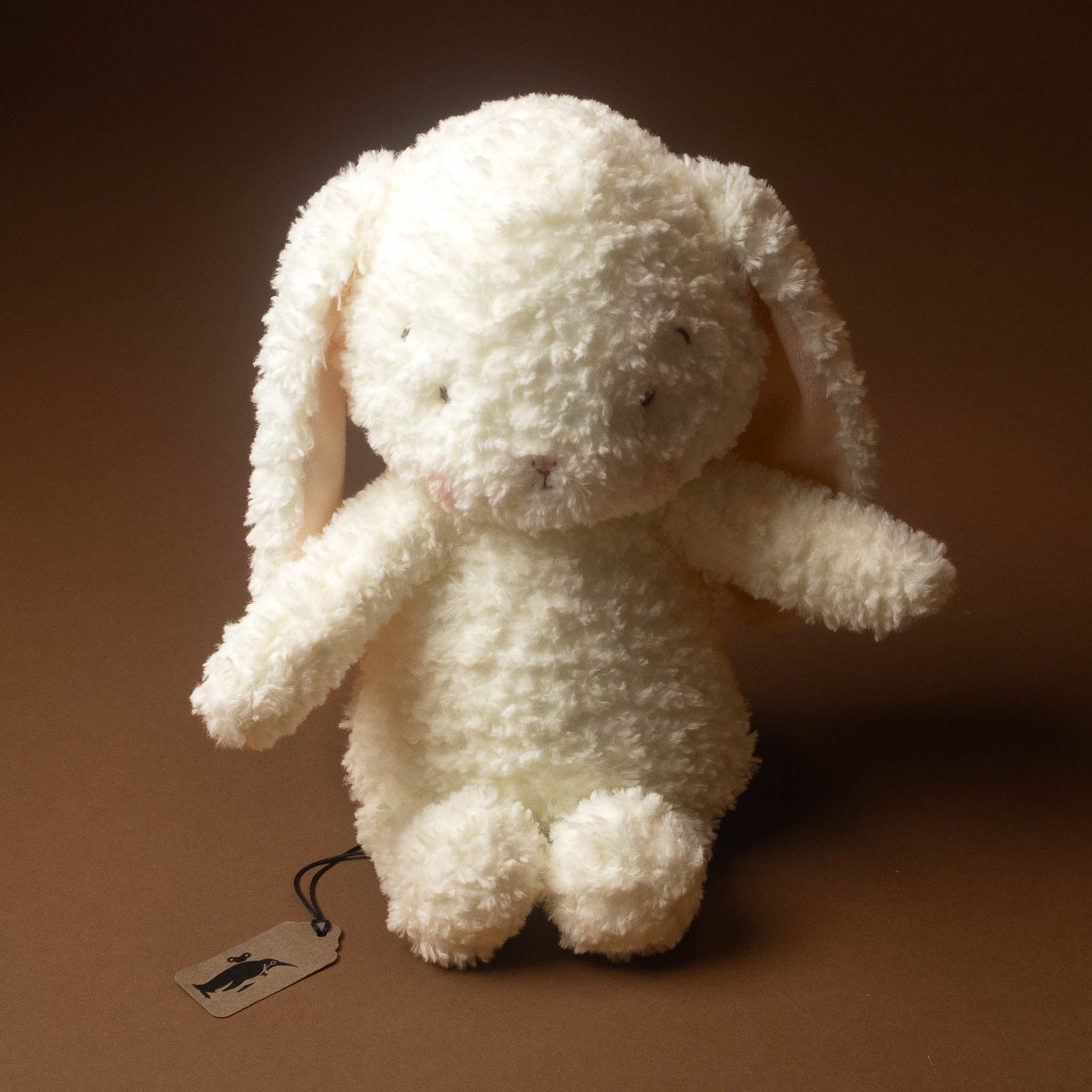 Snowball the Bunny