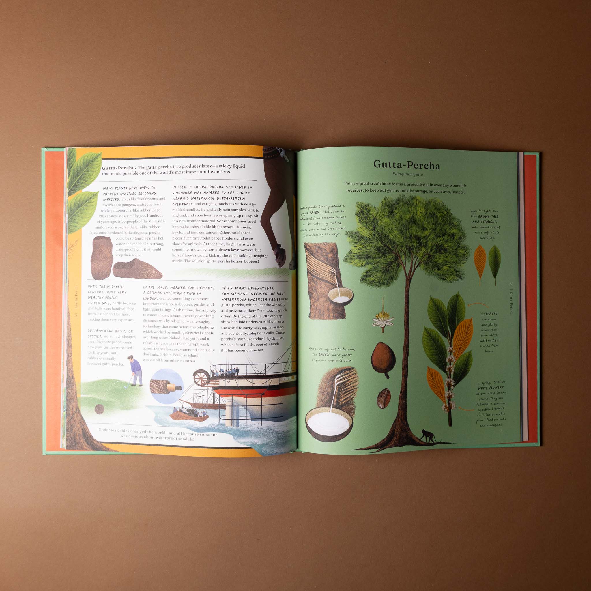 stuff-that-stuff-is-made-of Open book showing illustrations and text on a brown background