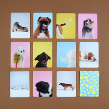 Load image into Gallery viewer, example-cards-with-dogs-body-language-photographed-for-matching