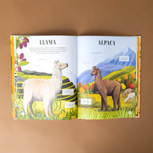 Load image into Gallery viewer, llama-and-alpaca-with-text-and-illustration