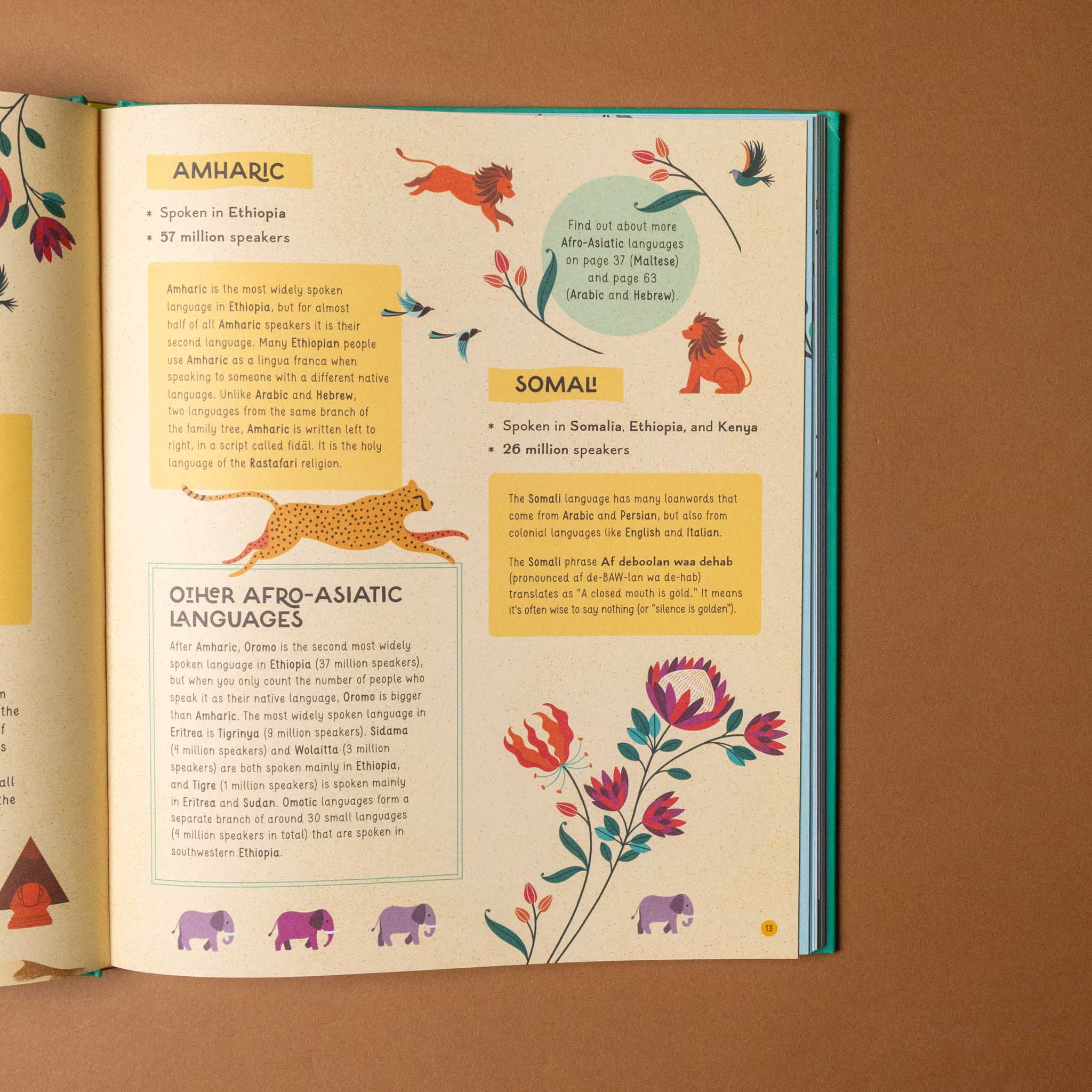 the-atlas-of-languages-with-list -of-languages-amharic-somali-and-other-afro-asiatic-languages-with-colorful-illustration-of-animals-and-flowers