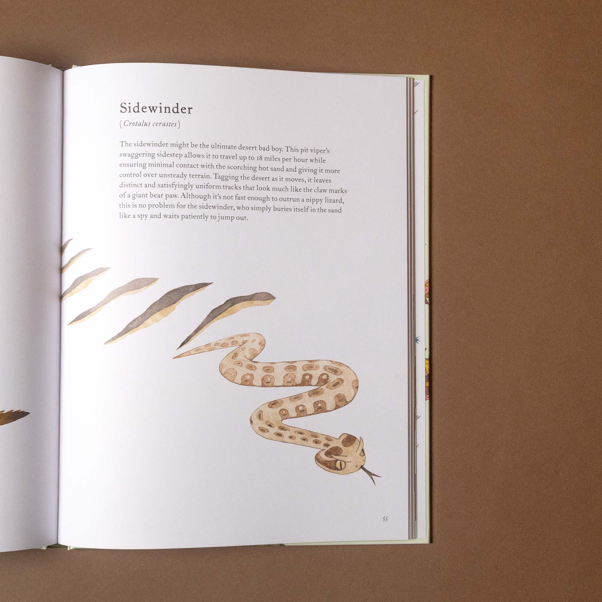 Open the-colorful-world-of-reptiles-book with illustration of a sidewinder snake on a brown background