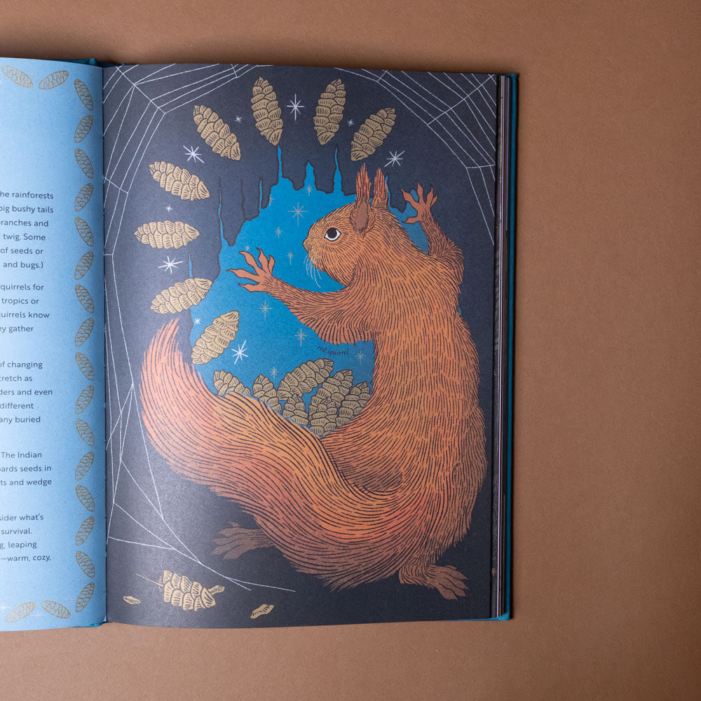 the-hidden-wisdom-of-animals Open book with a detailed illustration of a squirrel on a brown background