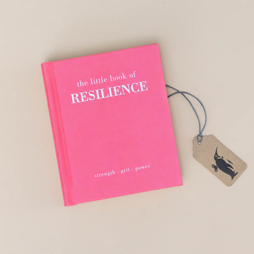the-little-book-of-resilience-bright-pink-cover-with-the-words-strength-grit-power