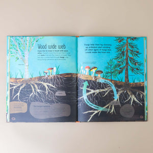 interior-page-with-wood-wide-web-illustration-of-roots-and-mushrooms-under-trees