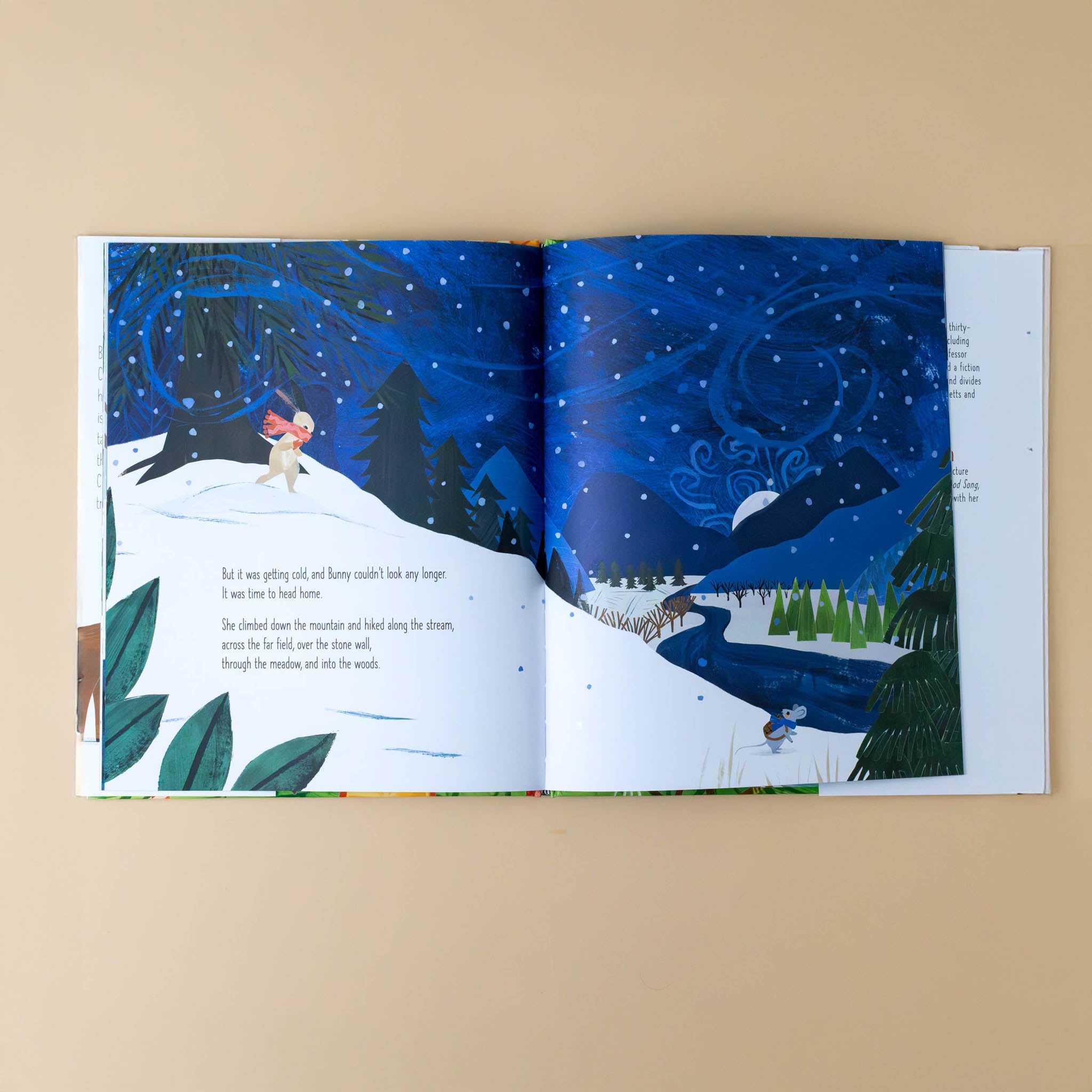 the-perfect-tree-book-interior-page-with-rabbit-searching-the-mountains-for-a-tree