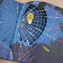 Load image into Gallery viewer, Laser-cut paper spider web page from The Secret Life of Bugs and Other Little Critters by Emmanuelle Figueras and Alexander Vidal