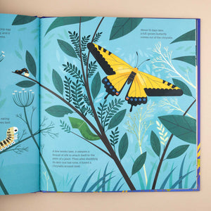 Monarch butterfly page from The Secret Life of Bugs and Other Little Critters by Emmanuelle Figueras and Alexander Vidal