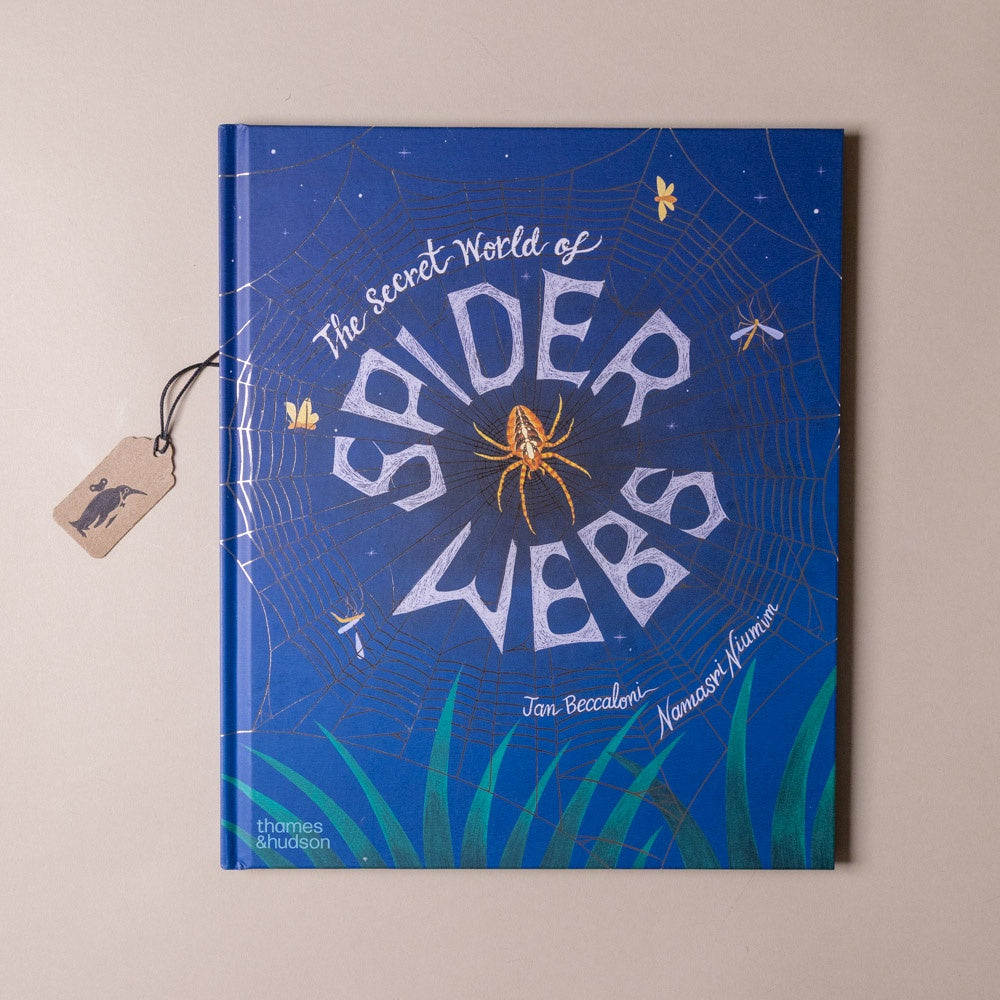 The Secret World of Spiderwebs
