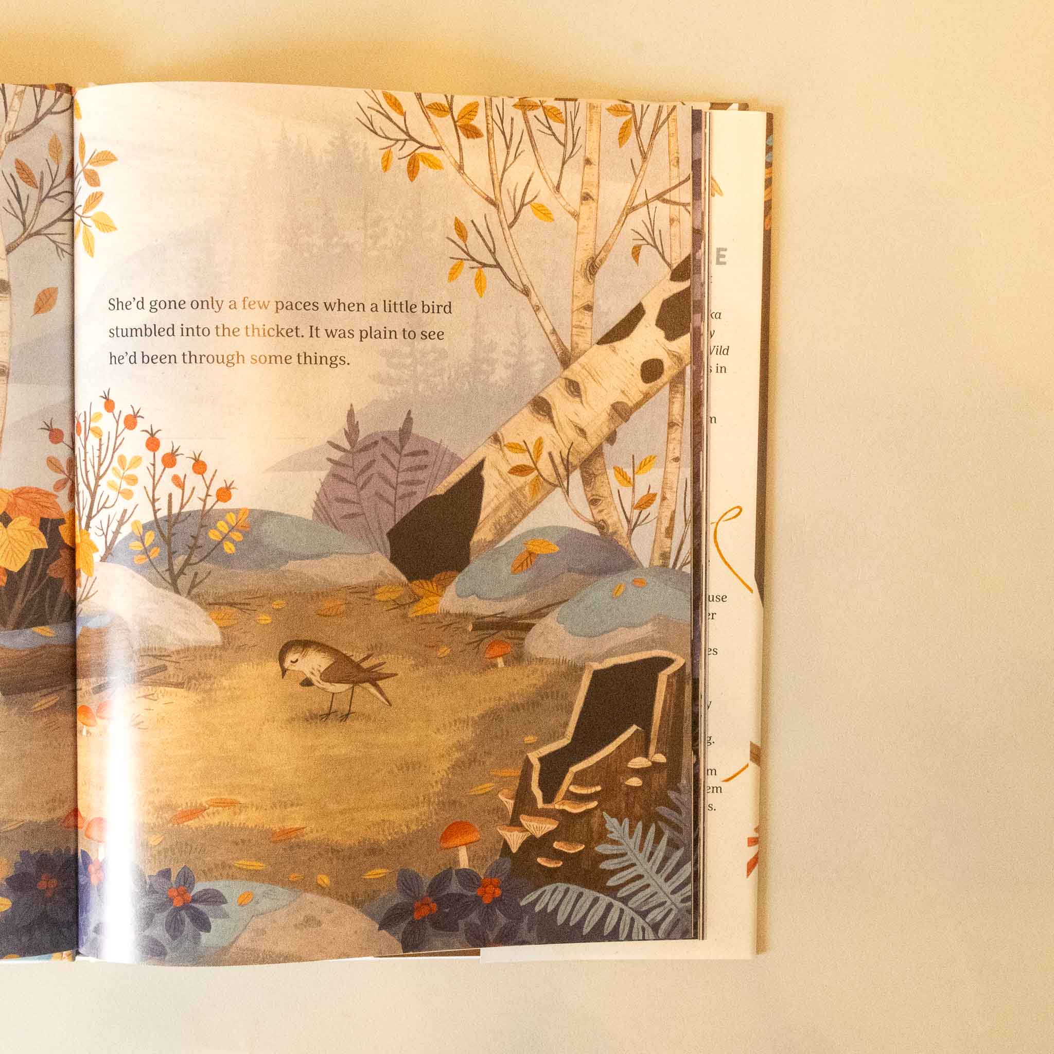 Illustrated the-sweater-a-story-of-community page with a forest scene and a bird.