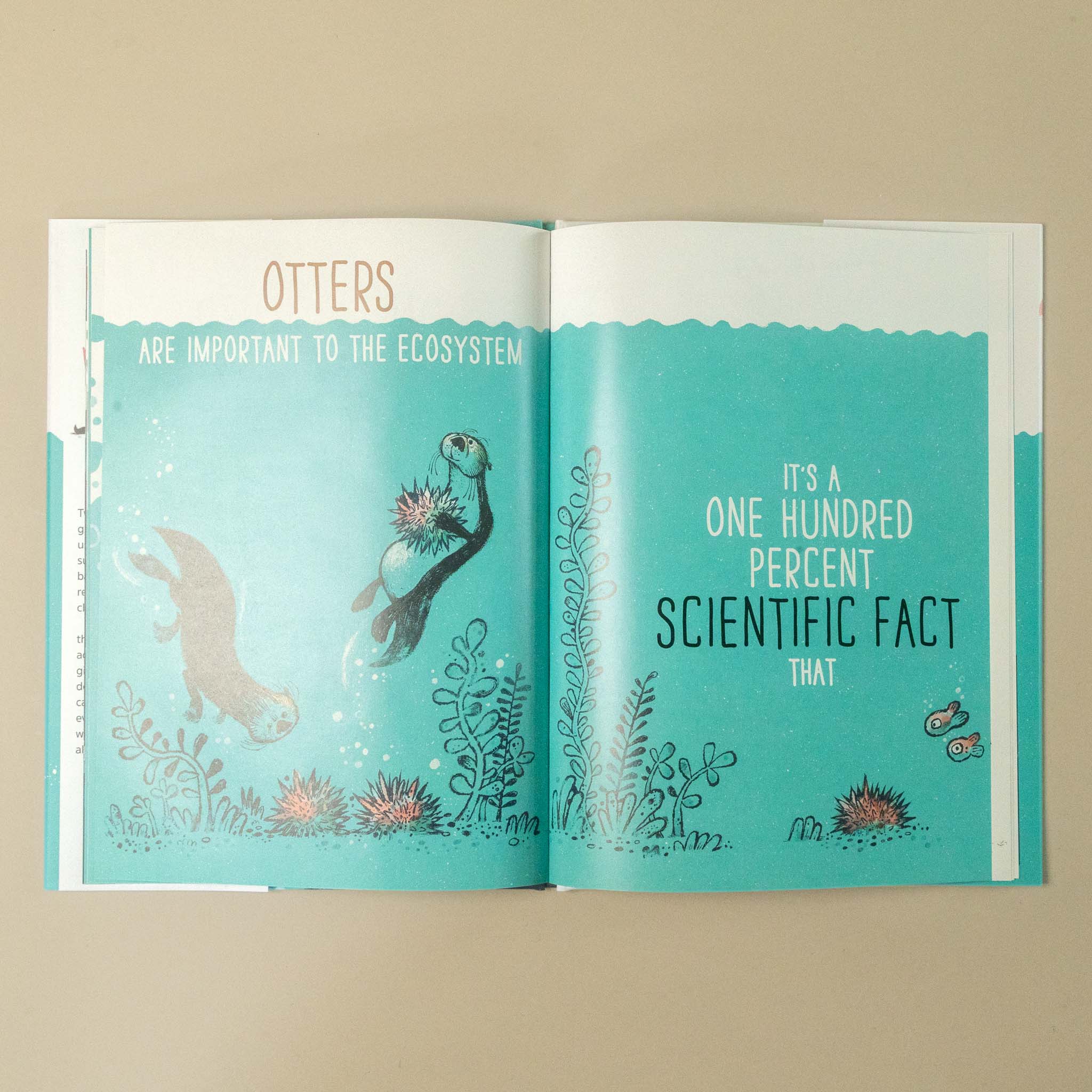the-whales-tale-and-the-otters-side-of-the-story