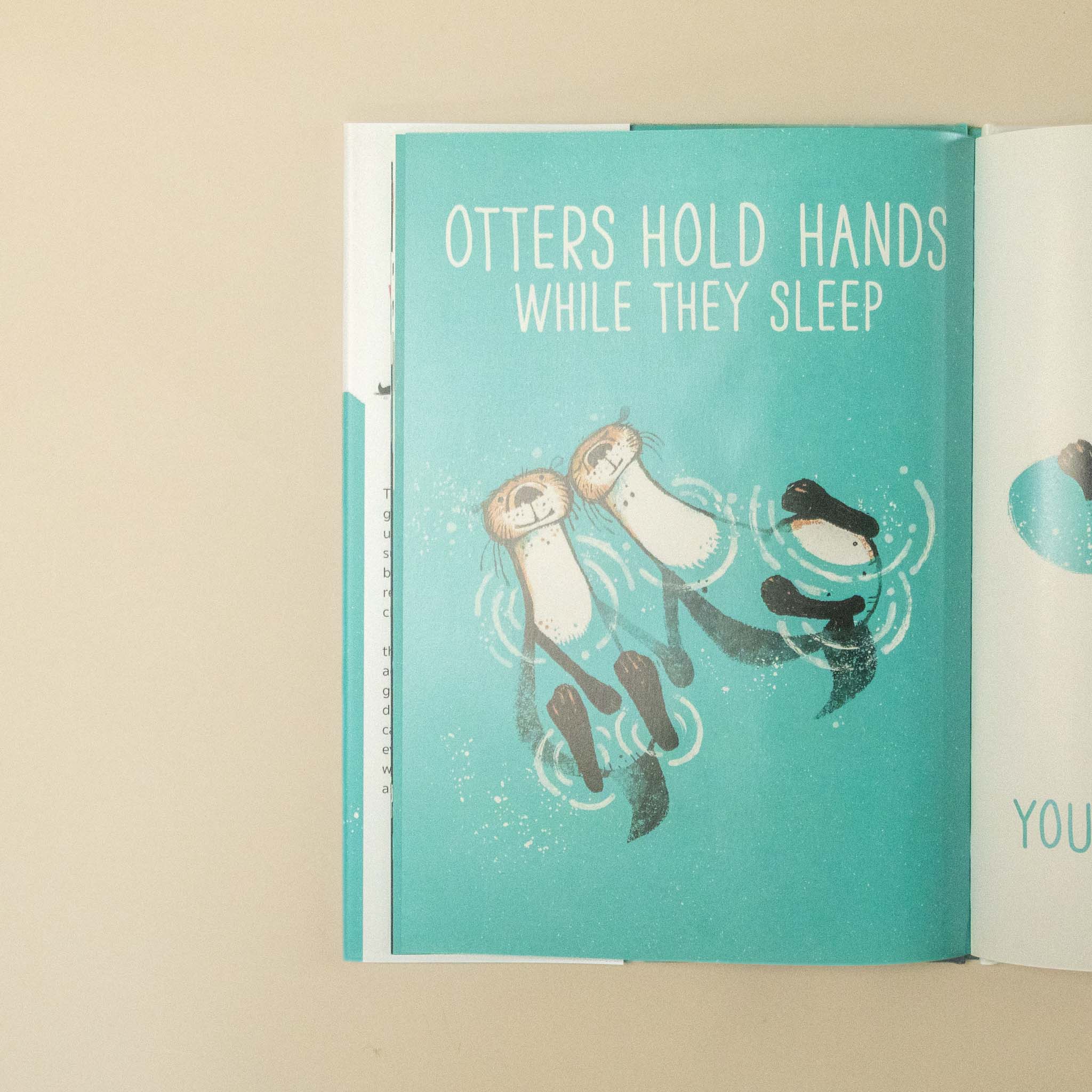 the-whales-tale-and-the-otters-side-of-the-story
