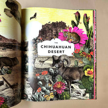 Load image into Gallery viewer, interior-page-titled-chihuahuan-desert-and-illustrations-of-creatures-that-live-there