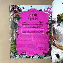 Load image into Gallery viewer, interior-page-titled-black-forest-with-magenta background-and-detail-on-a-100-mile-strip-in-southwestern-germany