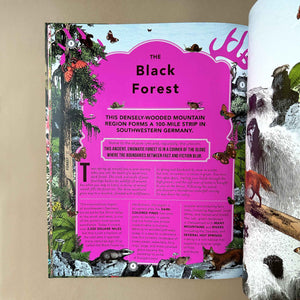 interior-page-titled-black-forest-with-magenta background-and-detail-on-a-100-mile-strip-in-southwestern-germany
