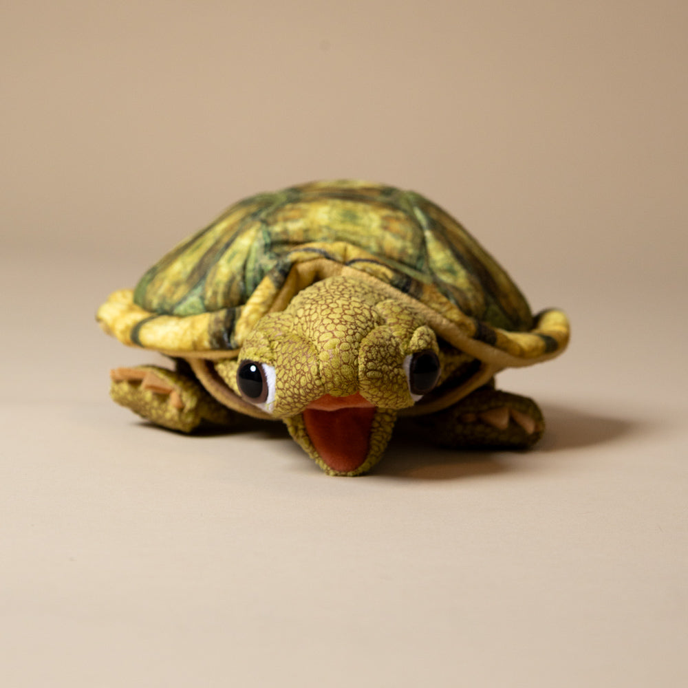 tortoise-sitting-hand-puppet-face