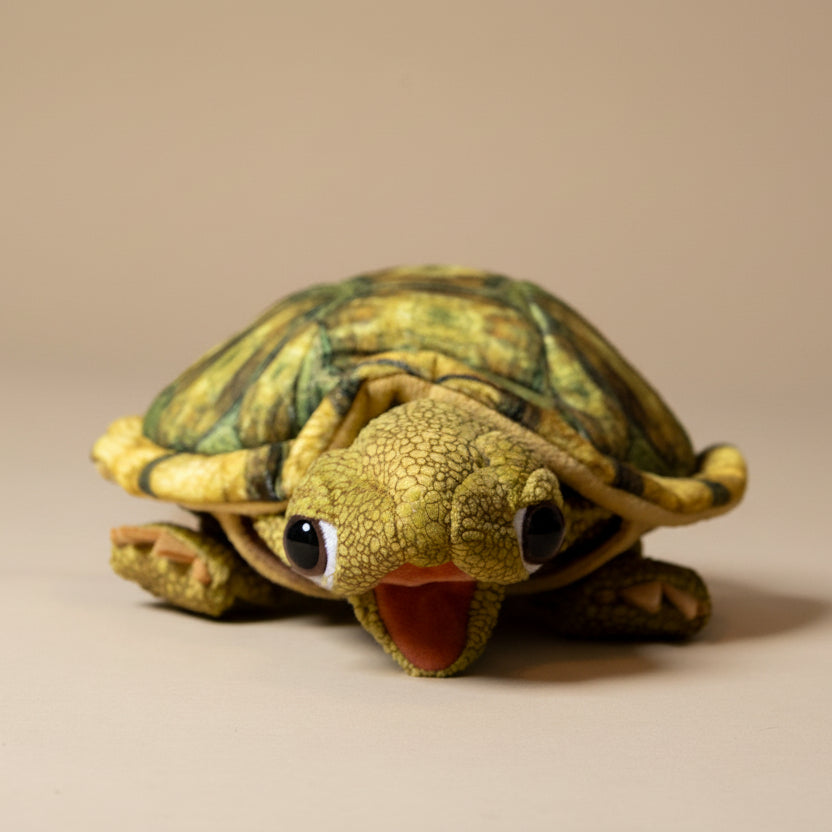 tortoise-sitting-hand-puppet-face