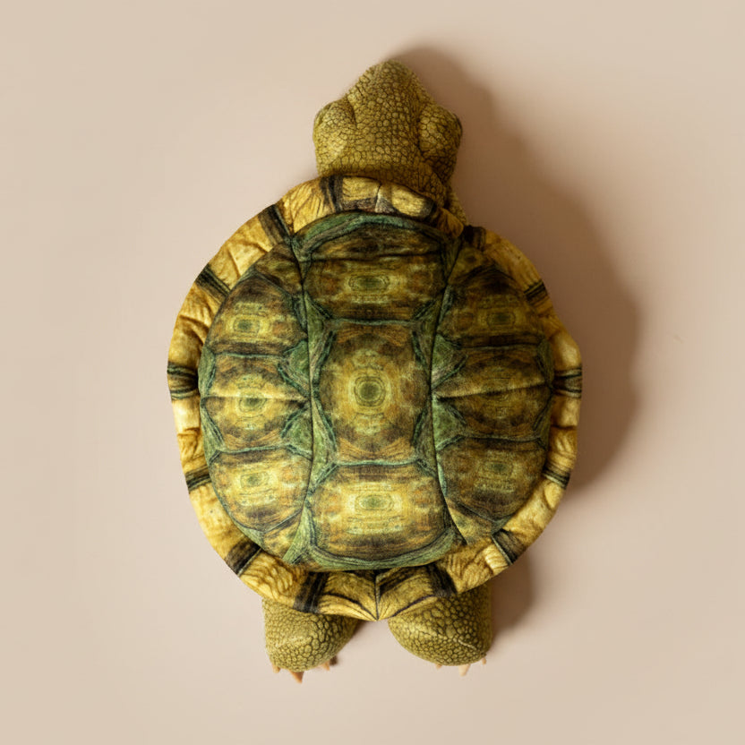 tortoise-sitting-hand-puppet-back