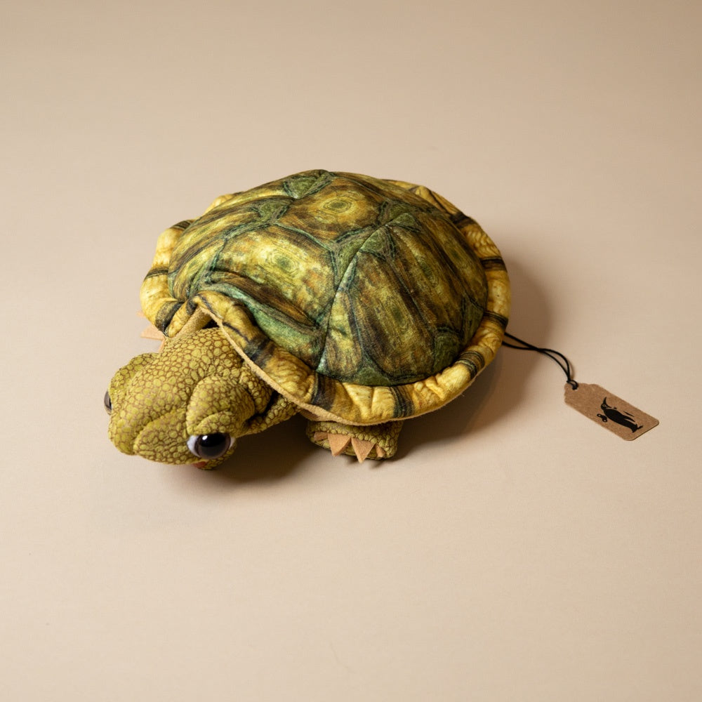 tortoise-sitting-hand-puppet