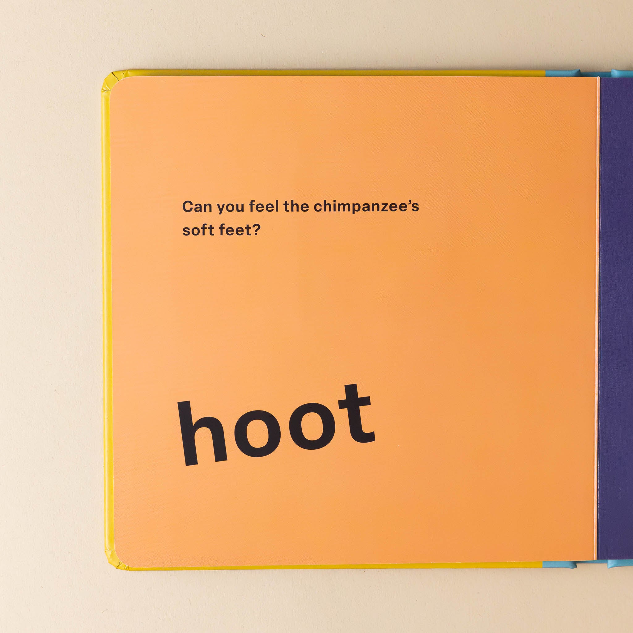 touch-and-feel-board-book-wild-with-text-can-you-feel-the-chimpanzee's-soft-feet-hoot