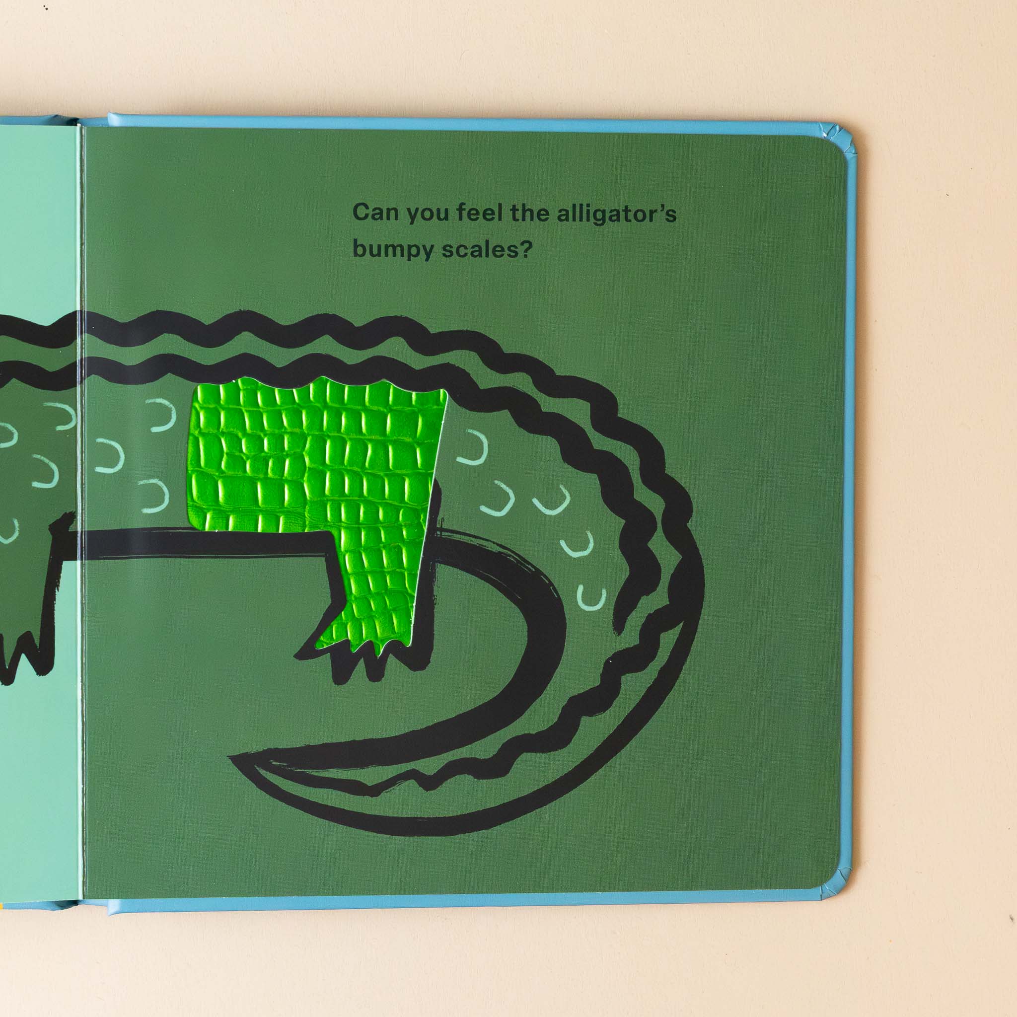 touch-and-feel-board-book-wild-interior-page-with-text-can-you-feel-the-alligators-bumpy-scales-and-green-alligator-illustration-with-bumpy-textile-on-feet