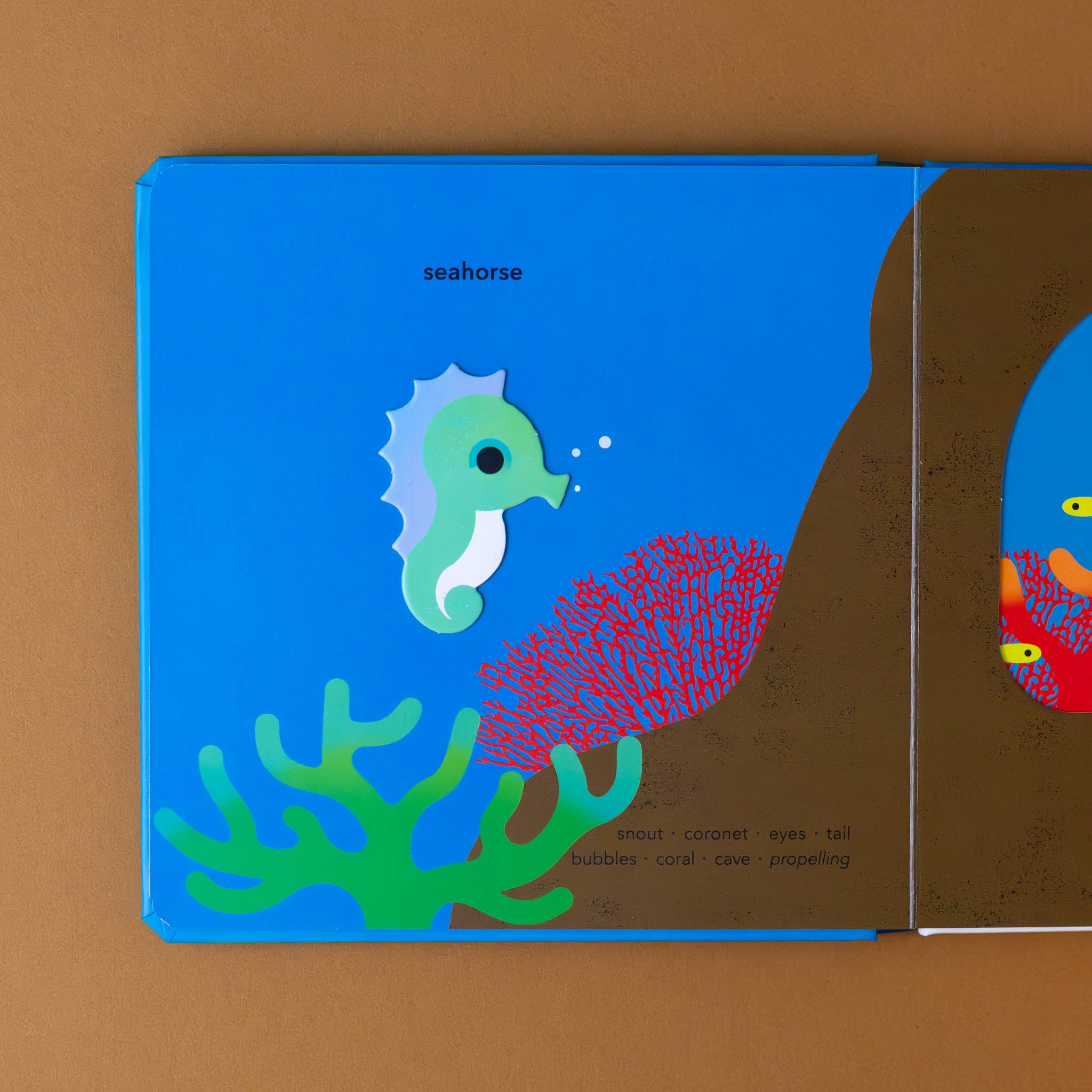 touch-think-learn-underwater-board-book-interior-page-with-bumpy-seahorse