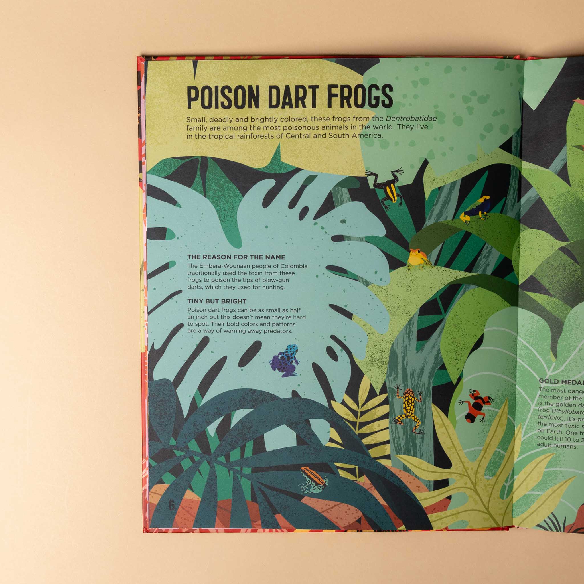 toxic-the-worlds-deadliest-creatures Illustrated book page about poison dart frogs with a jungle background
