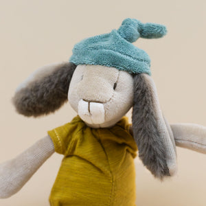 closeup-trois-petit-lapins-little-ochre-rabbit