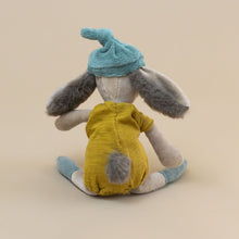 Load image into Gallery viewer, back-of-rabbit-with-cotton-tail